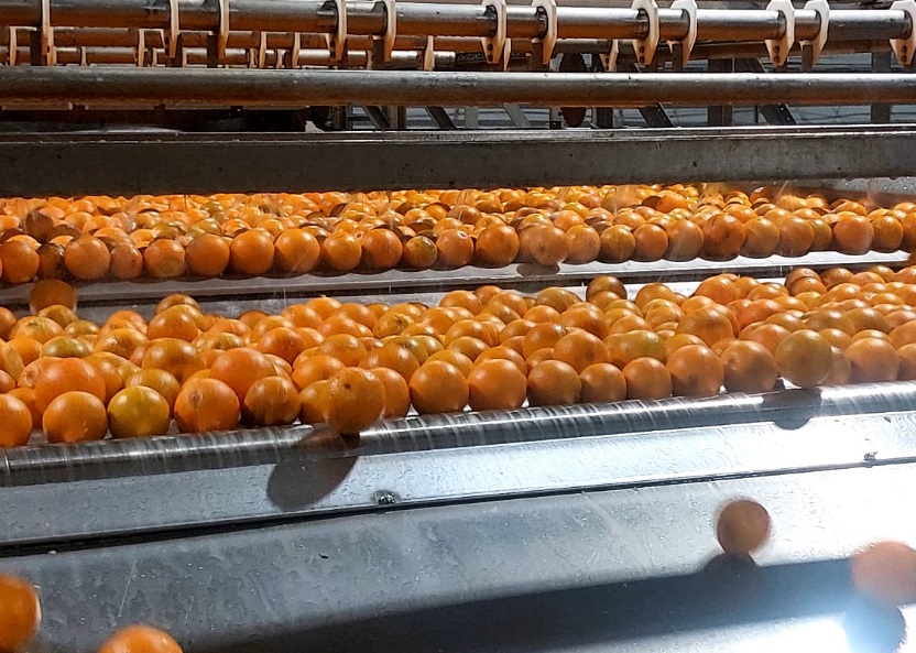 Corrientes: Plan Naranja, una apuesta estratégica para el desarrollo