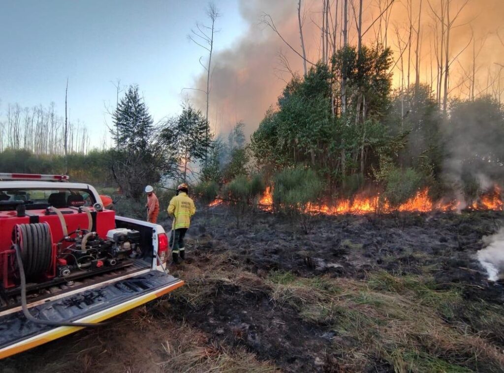 El Gobierno provincial trabaja en el combate a los incendios en Bonpland y Perugorría