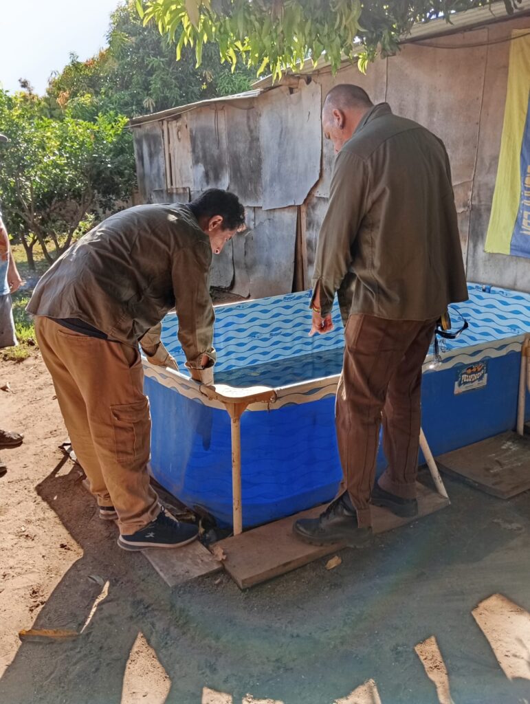 La cartera sanitaria informa el primer caso de Dengue