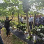 Corrientes avanza con una experiencia pionera de café de especialidad y proyecta su primera cosecha para 2027