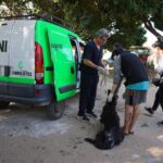 Bienestar Animal: rápida intervención municipal permitióasistir y comenzar el tratamiento de un perro enfermo.