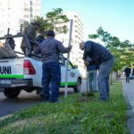 Sigue la Semana del Árbol: “Plantar es importante, pero cuidarlo es un compromiso de todos”