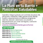 La Muni en tu Barrio y Mascotas Saludables recorrerán nueve barrios de la ciudad durante septiembre.