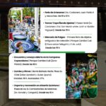 Agenda del finde: la Municipalidad invita a disfrutar de propuestas culturales, deportivas y recreativas.