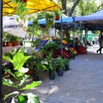 Productos frescos, artesanías y gastronomía: nueva semana de ferias en Corrientes.